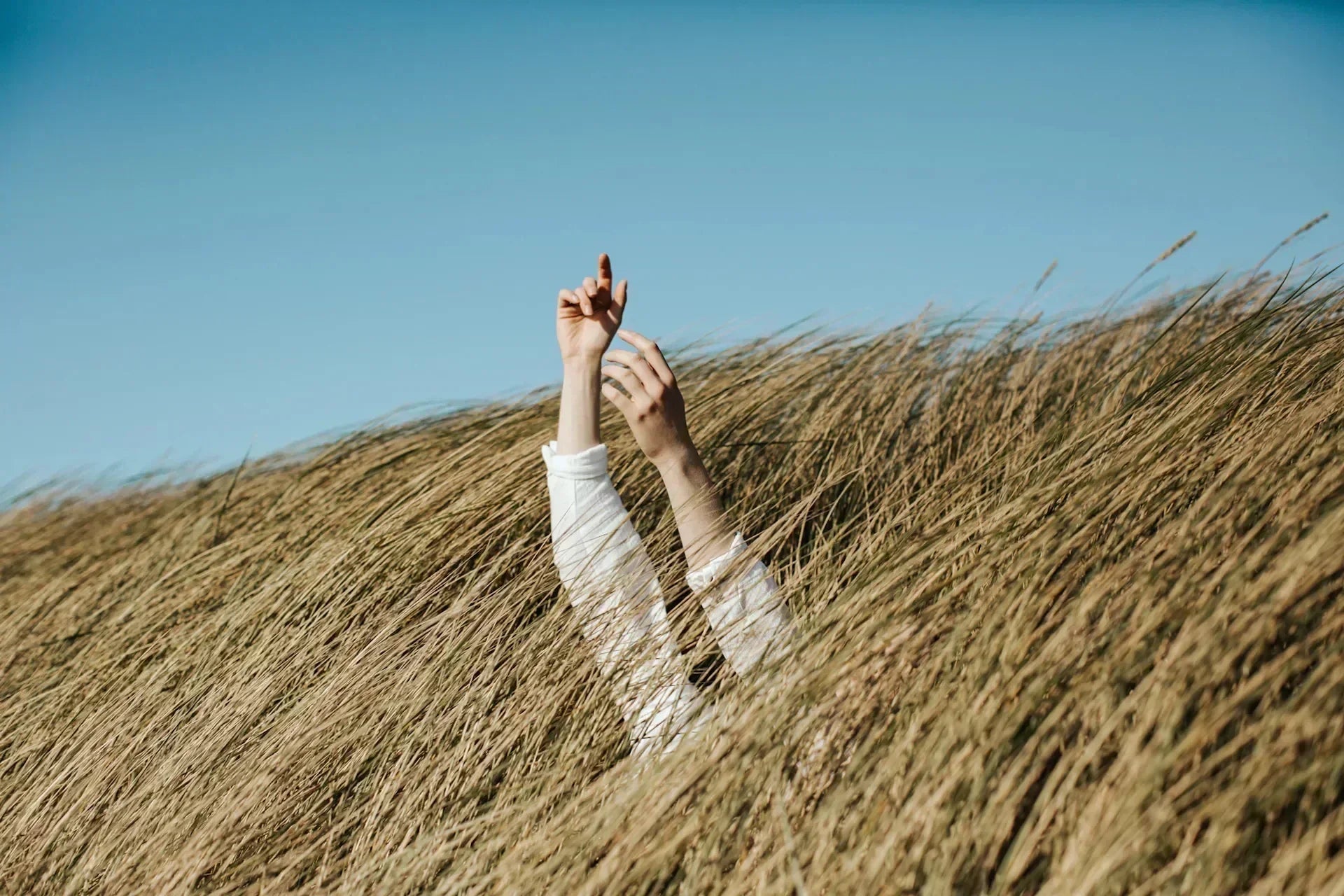 Why ‘Touching Grass’ is More Than Just Trending Buzzwords