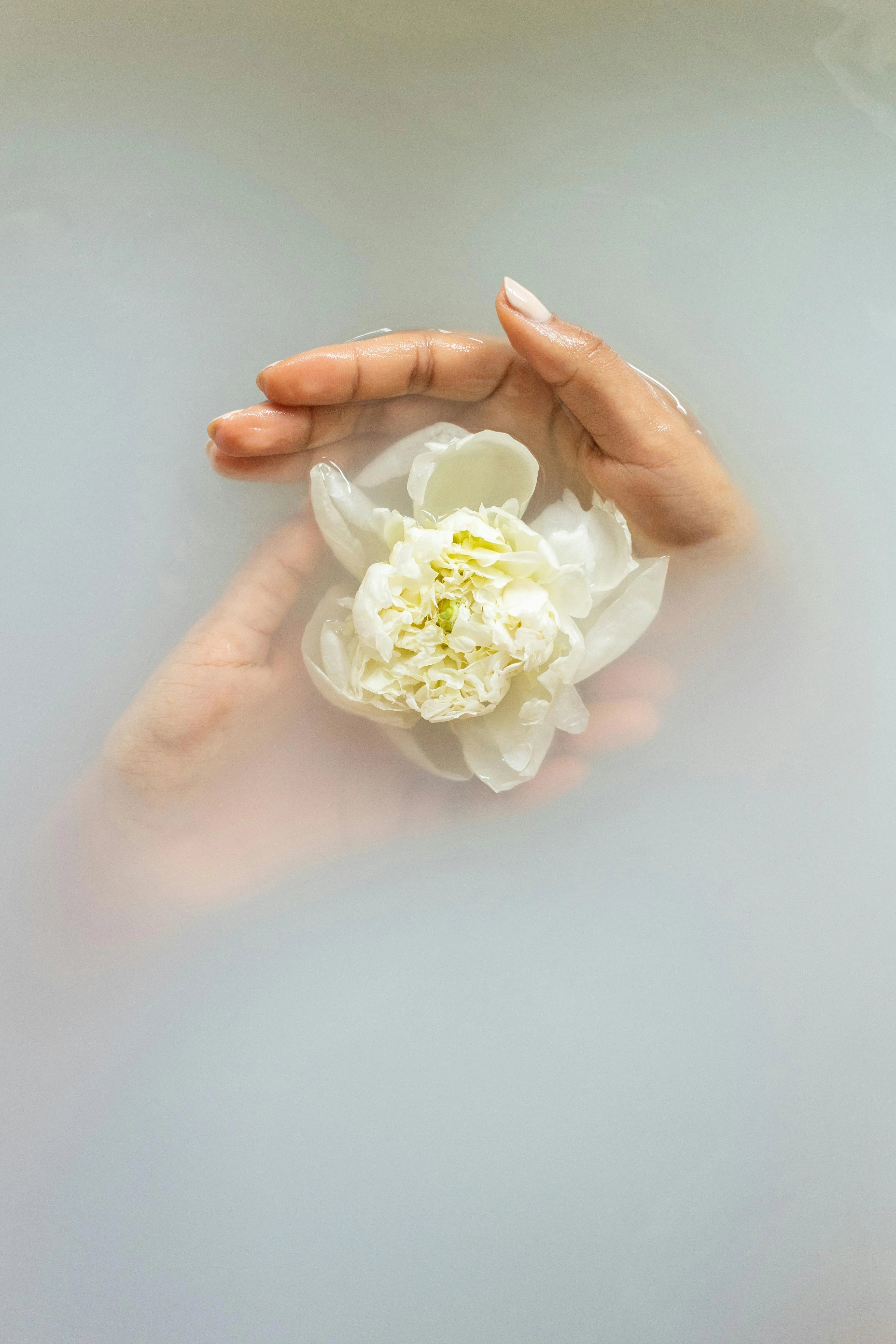 Scent Stories: Exploring the Allure of Niche and Artistic Perfumes