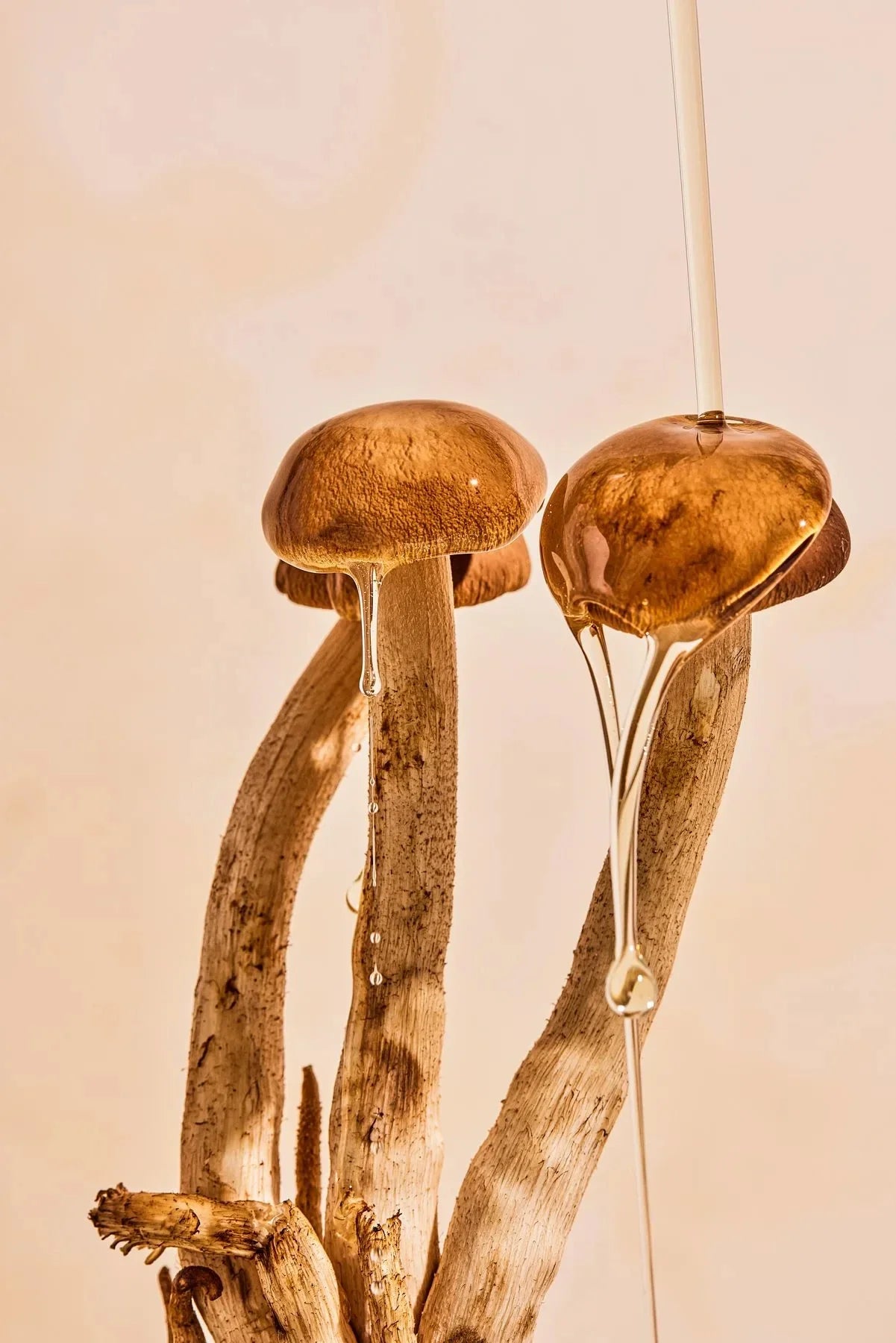 Functional Mushrooms: Enhancing Health Naturally