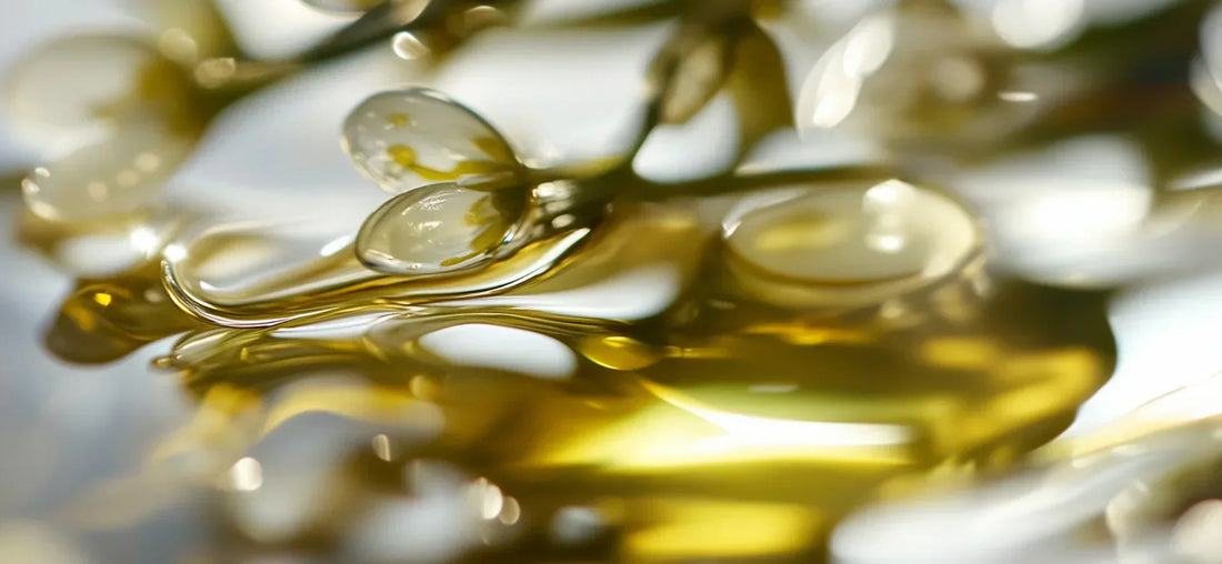 Ingredient Spotlight: Jojoba Oil