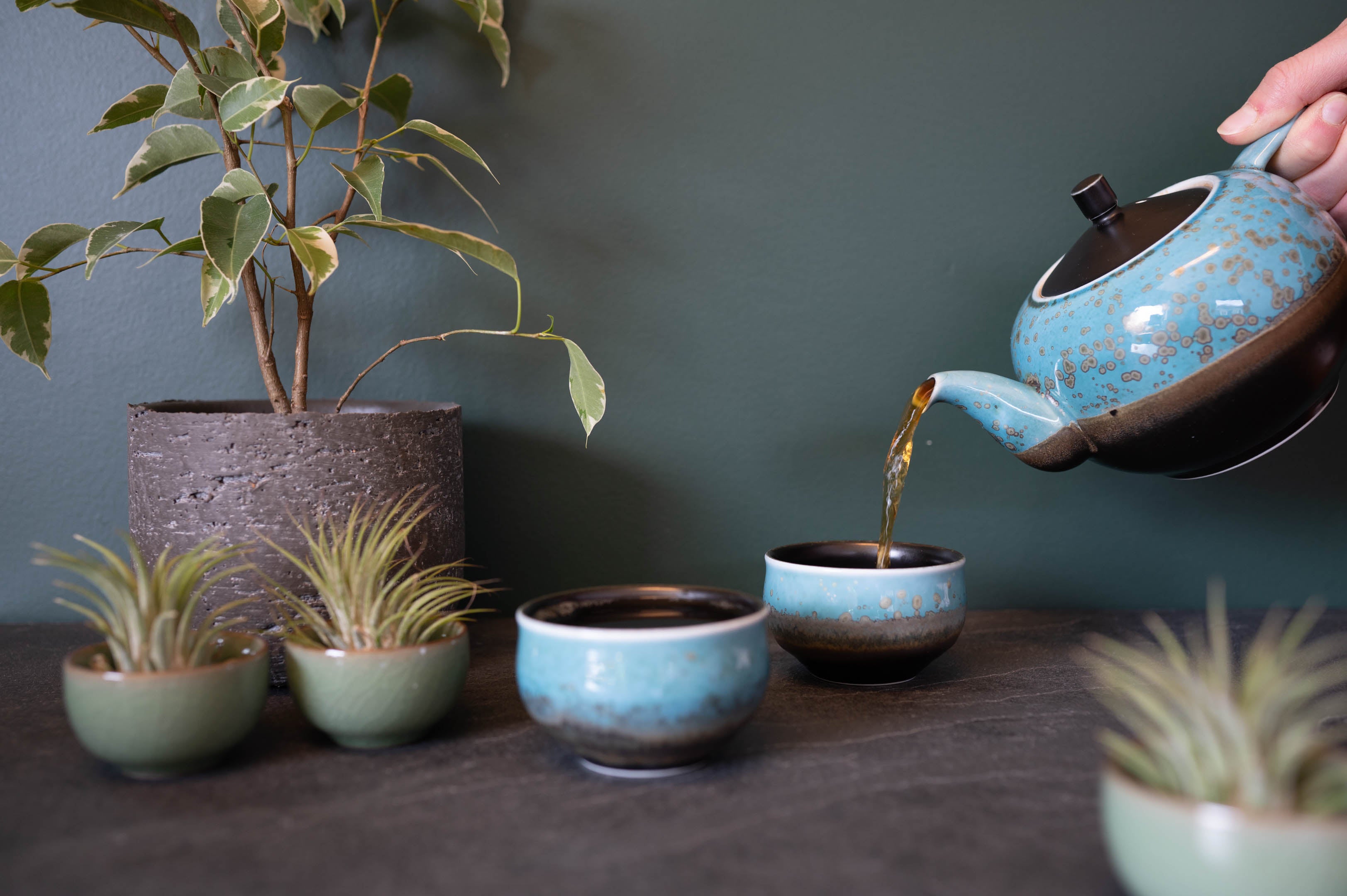 Camellia Sinensis