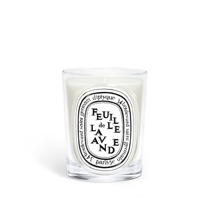 Feuille de Lavande (Lavender Leaf) Classic Candle