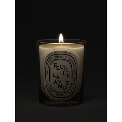 Feuille de Lavande (Lavender Leaf) Classic Candle