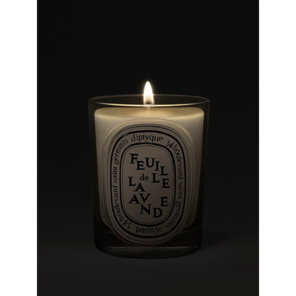 Feuille de Lavande (Lavender Leaf) Classic Candle