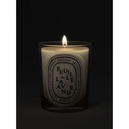 Feuille de Lavande (Lavender Leaf) Classic Candle