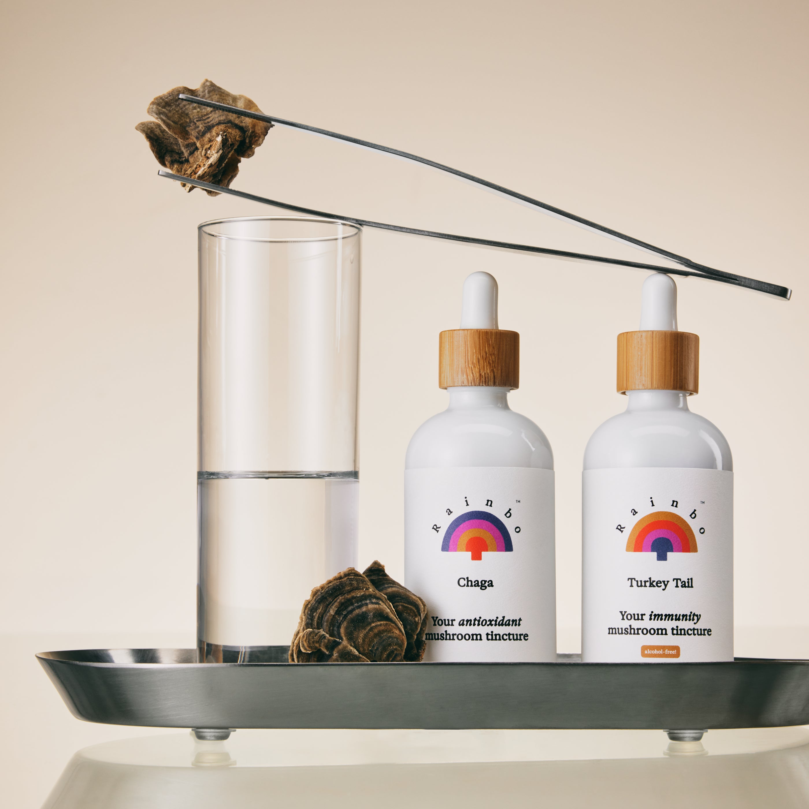 Turkey Tail Extract Tincture *alcohol-free*