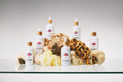 Chaga Dual Extract Tincture *alcohol free*