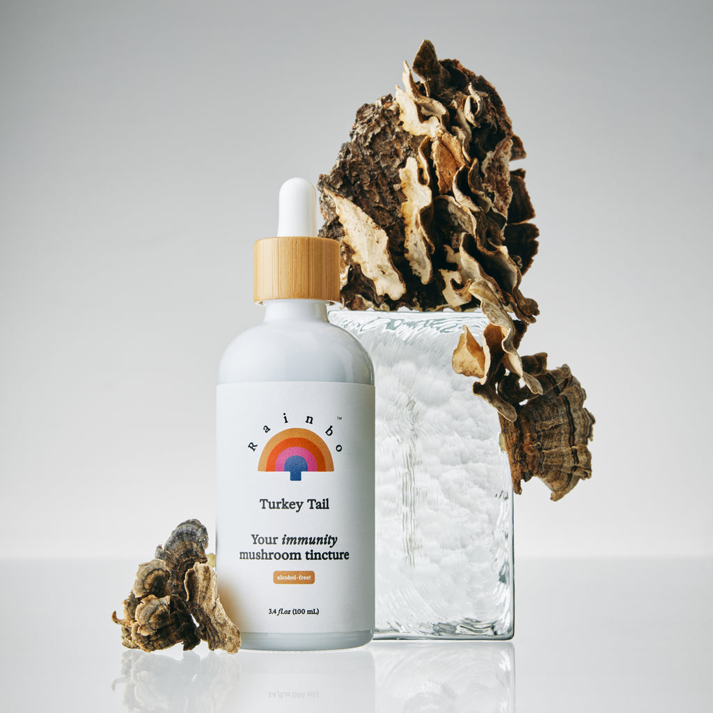 Turkey Tail Extract Tincture *alcohol-free*