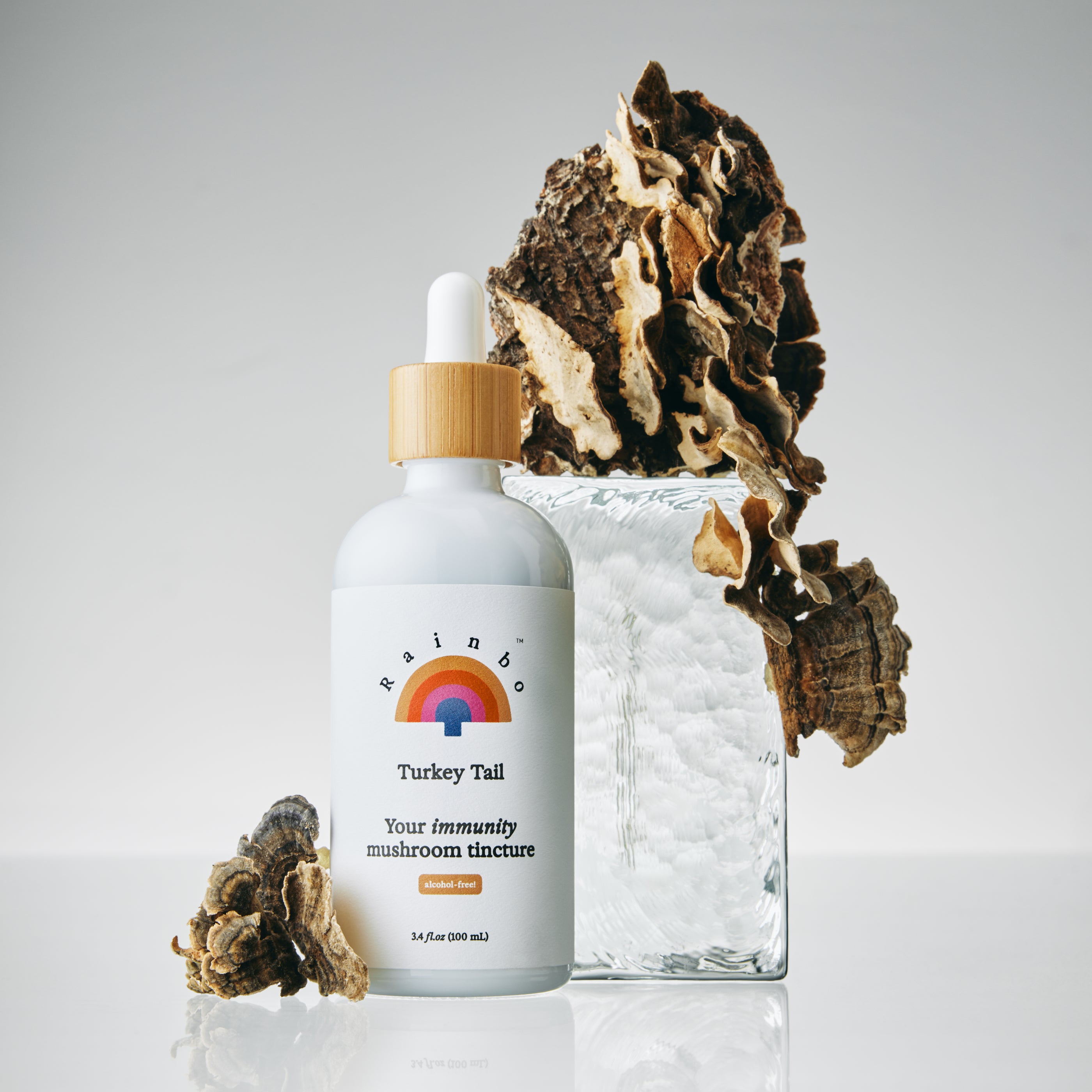 Turkey Tail Extract Tincture *alcohol-free*