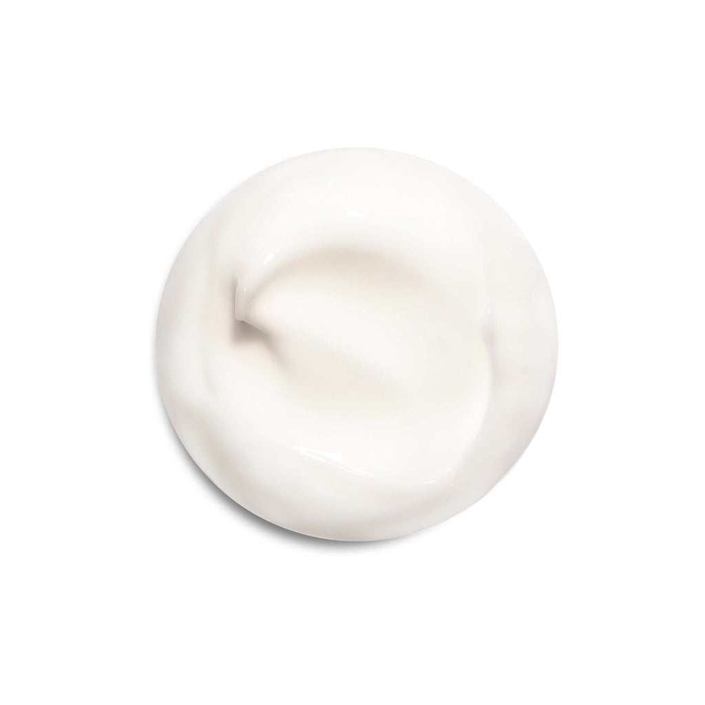 The Day Moisturizer
