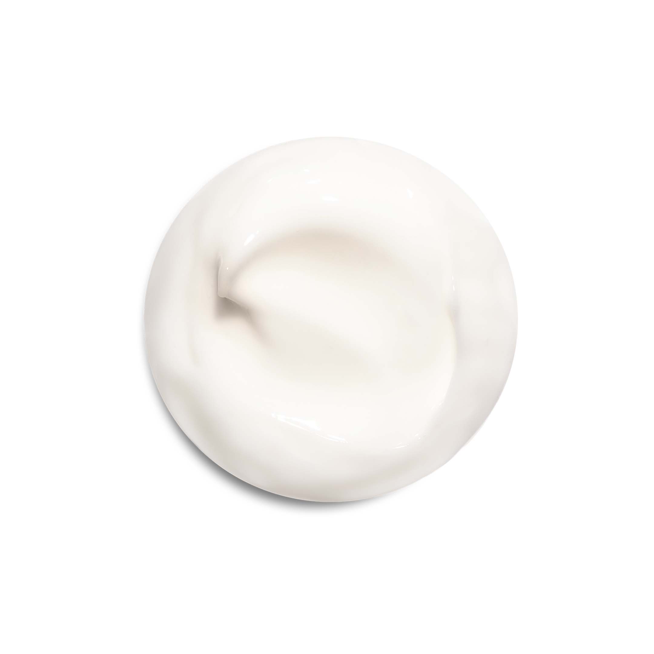 The Day Moisturizer