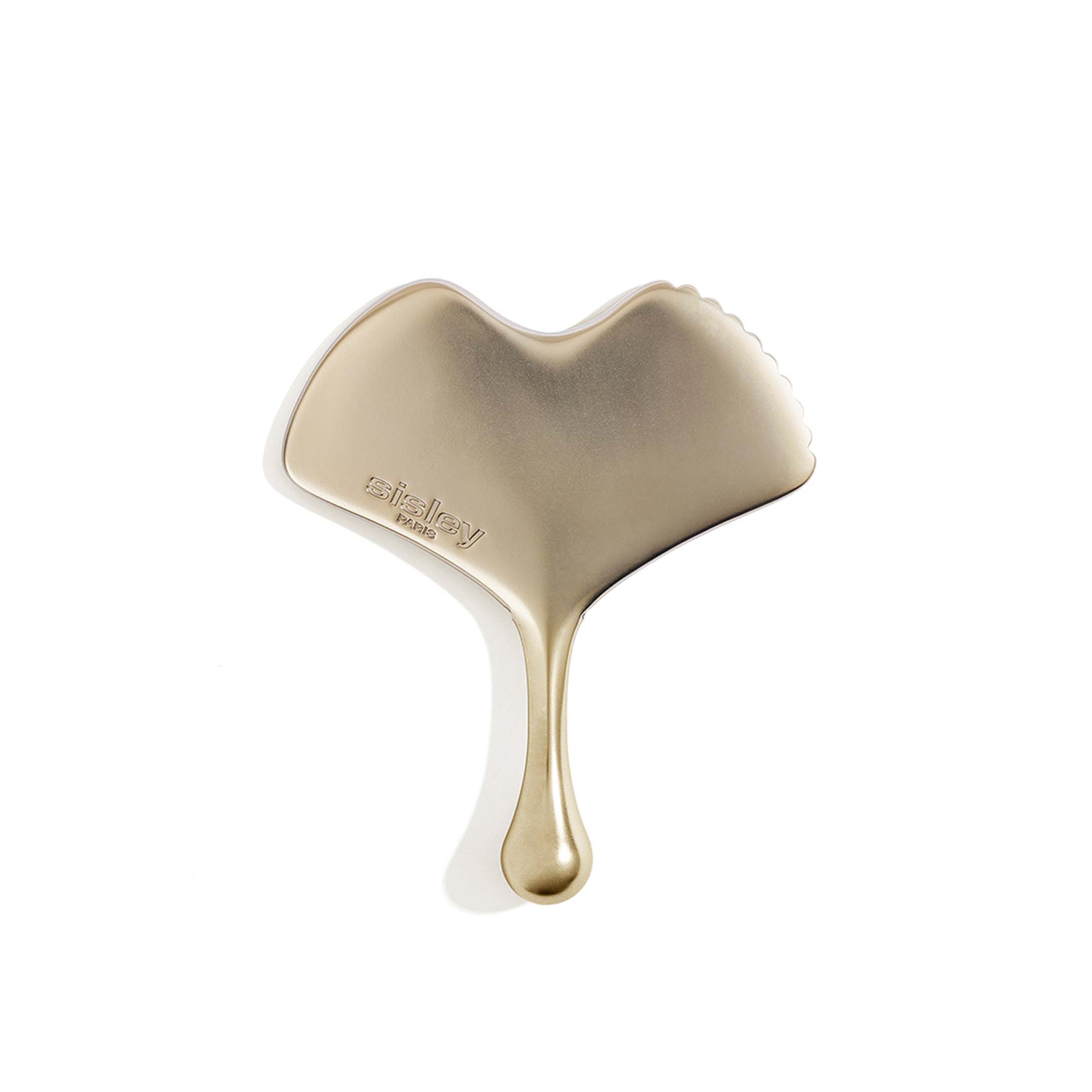 Ginkgo Gua Sha