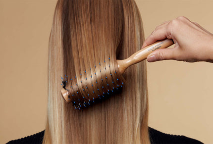 La Brosse A Brushing N°1