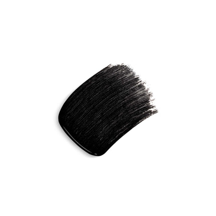 Mascara Phyto-Noir