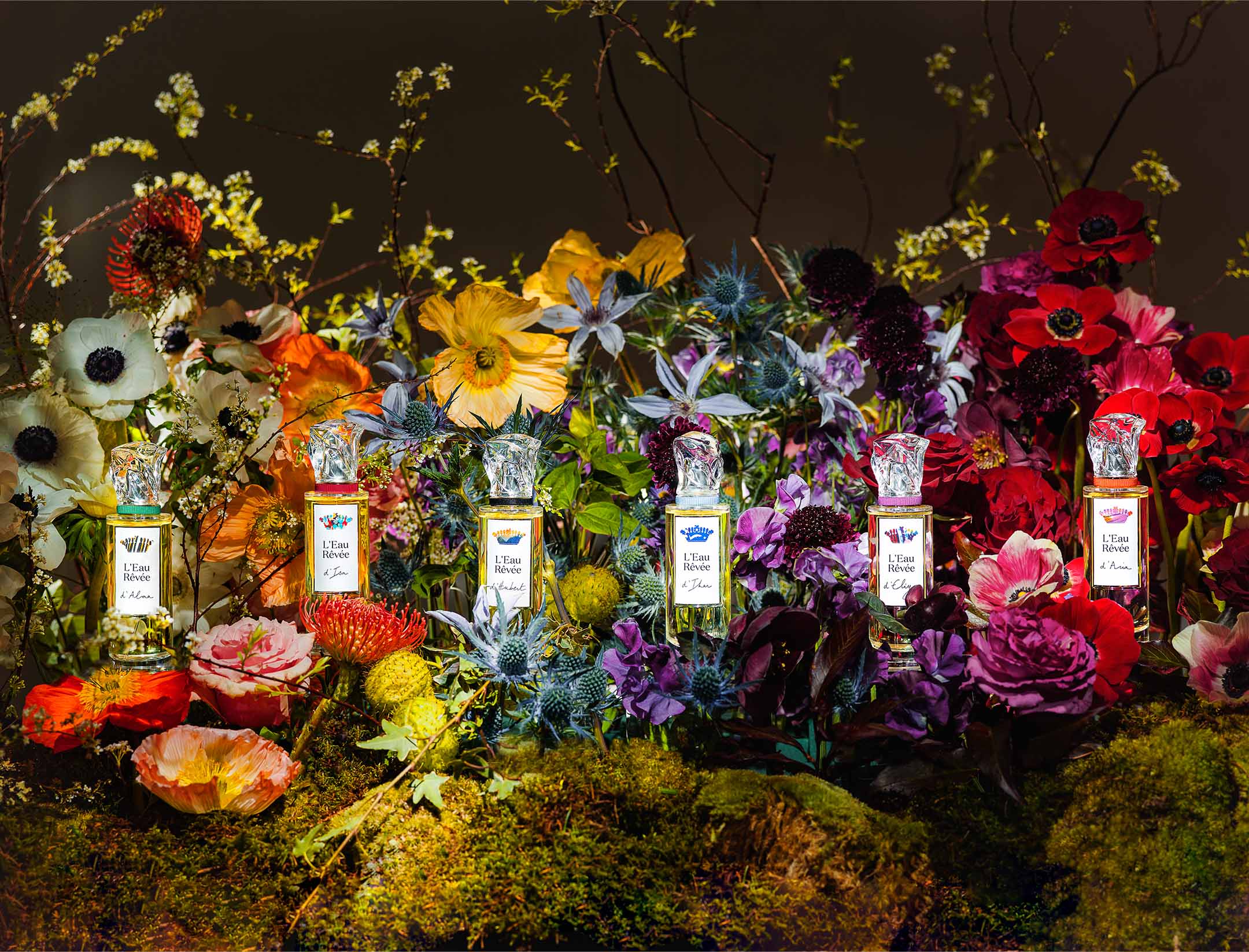 L'Eau Rêvée D'Hubert