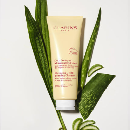 Hydrating Gentle Foaming Cleanser