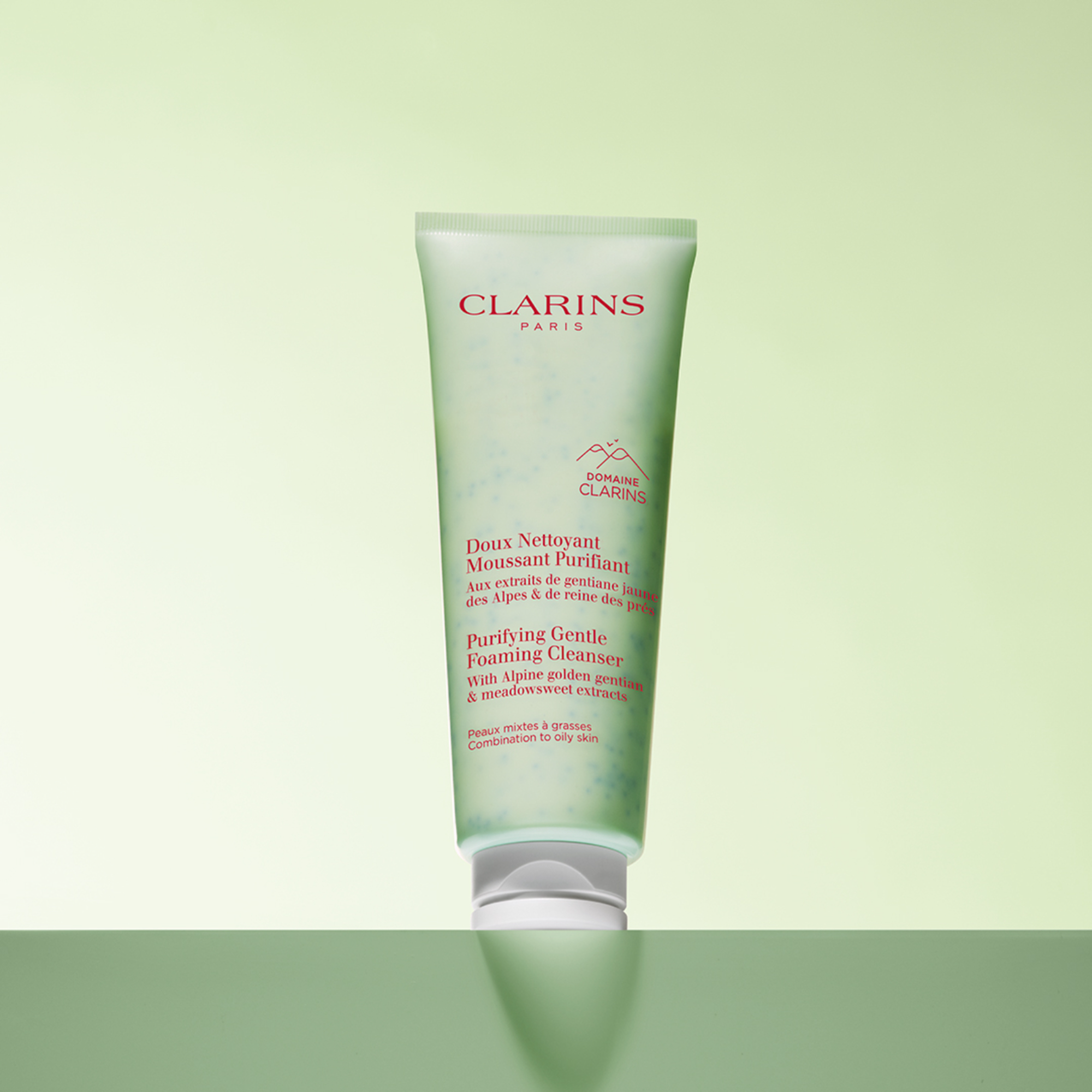 Purifying Gentle Foaming Cleanser