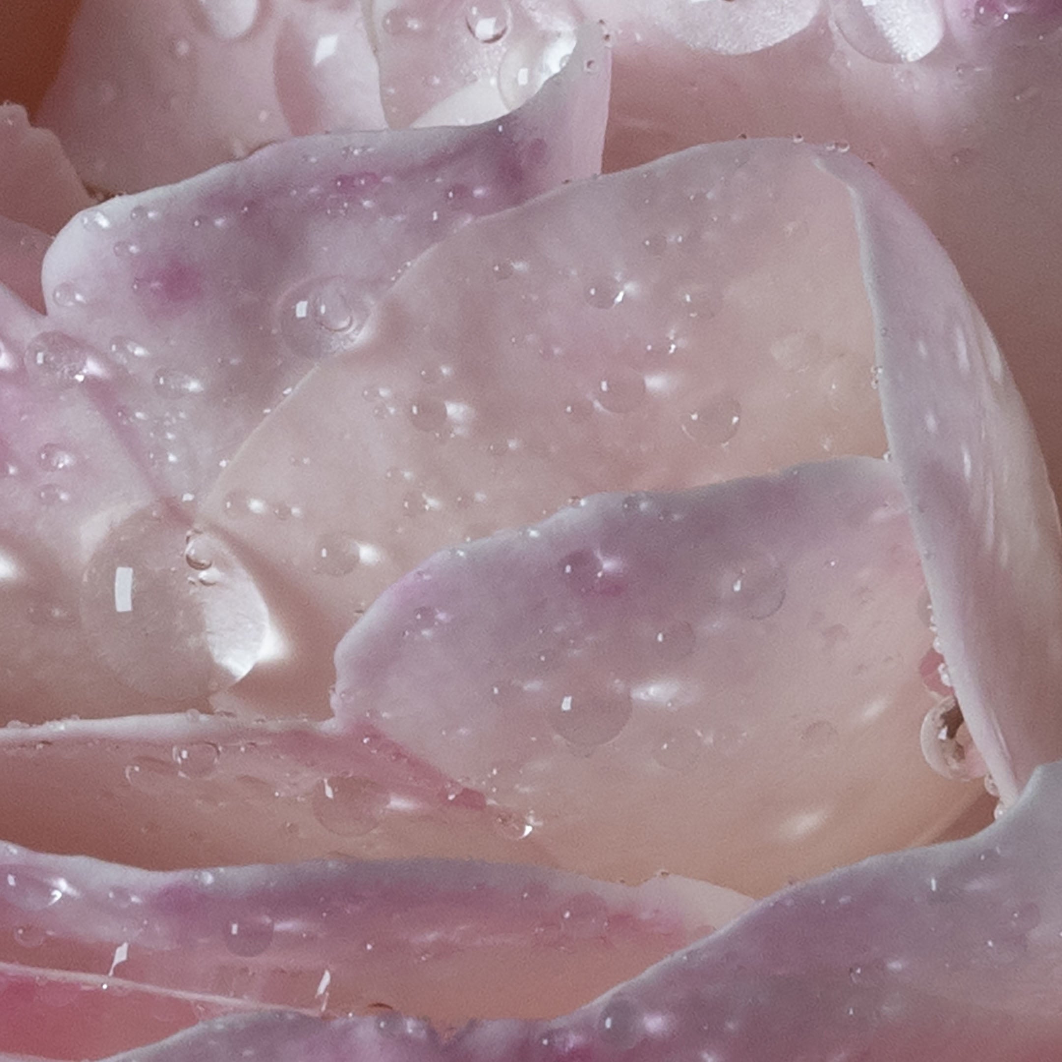 L'Eau À La Rose - Eau De Toilette