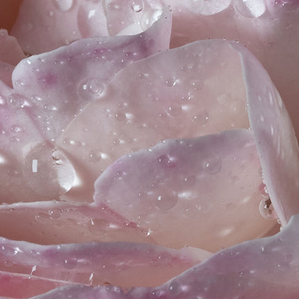 L'Eau À La Rose - Eau De Toilette