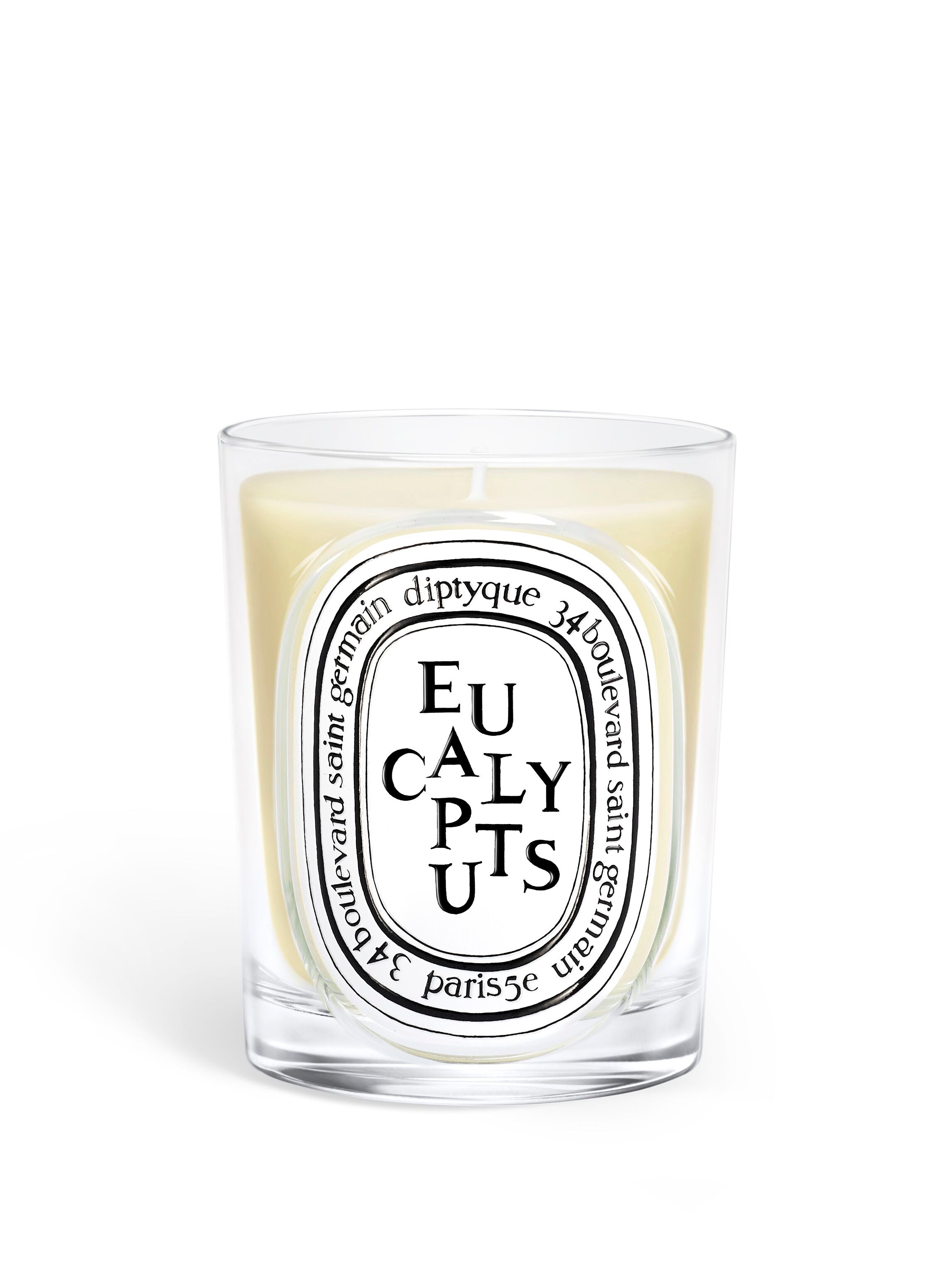 Eucalyptus Classic Candle