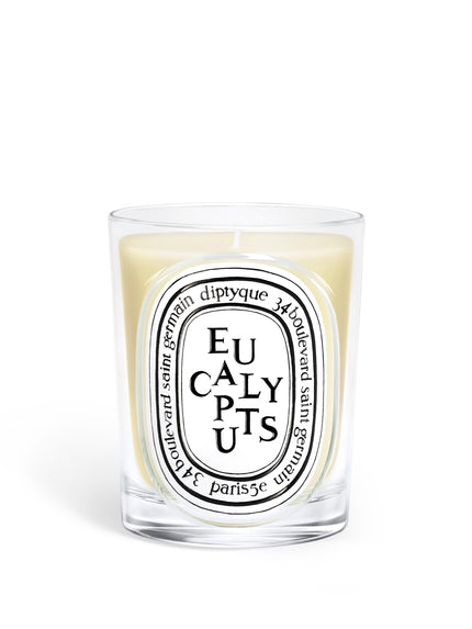 Eucalyptus Classic Candle