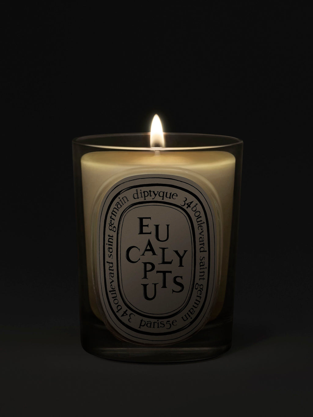 Eucalyptus Classic Candle