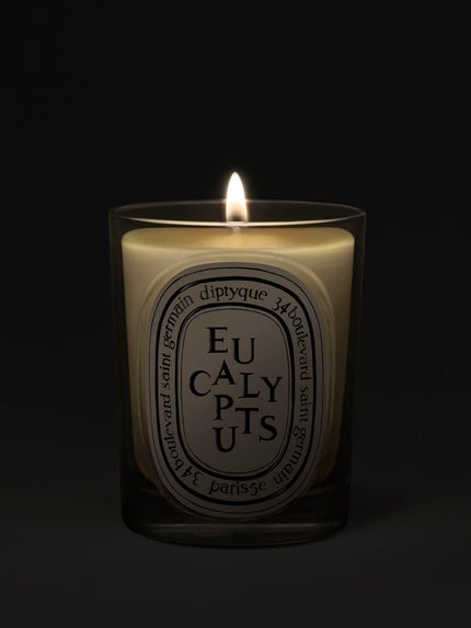 Eucalyptus Classic Candle