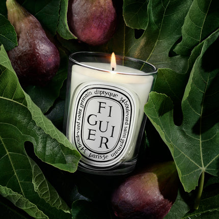 Figuier (Fig Tree) Scented Candle