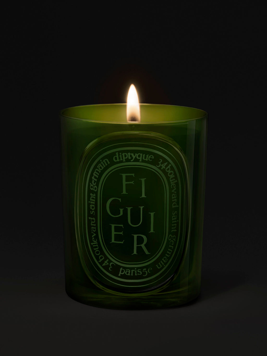 Figuier Bougie