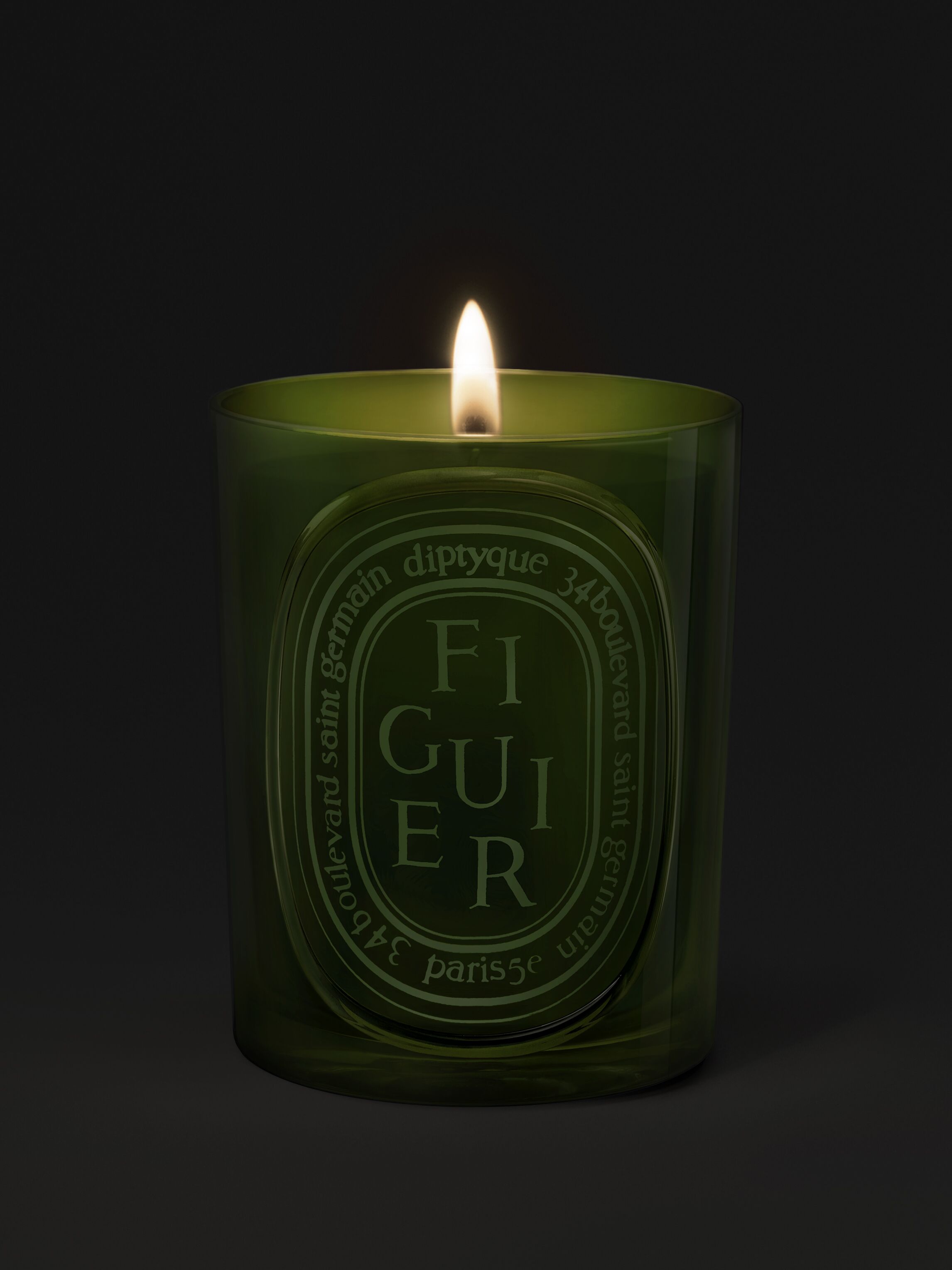 Figuier Bougie