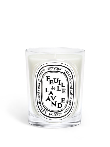 Feuille de Lavande (Lavender Leaf) Classic Candle