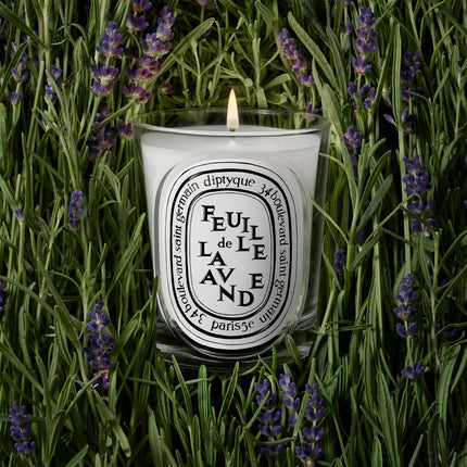 Feuille de Lavande Bougie Modèle Classique