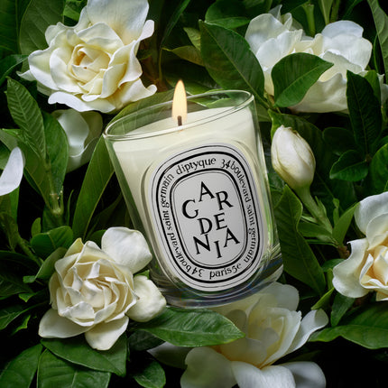 Gardénia Bougie Modèle Classique