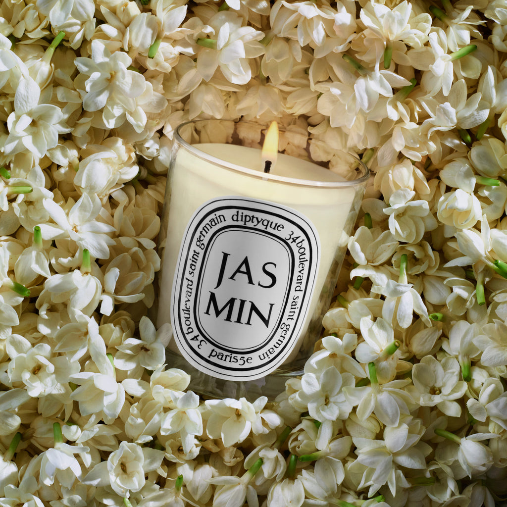 Jasmin (Jasmine) Classic Candle
