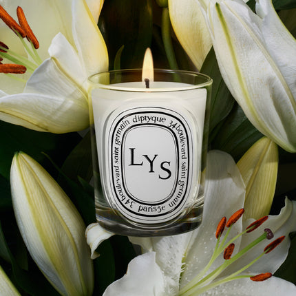 Lys (Lily) Classic Candle