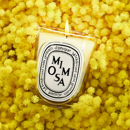 Mimosa Classic Candle