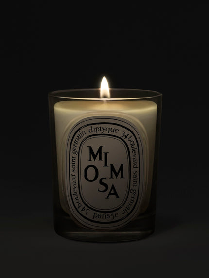Mimosa Classic Candle