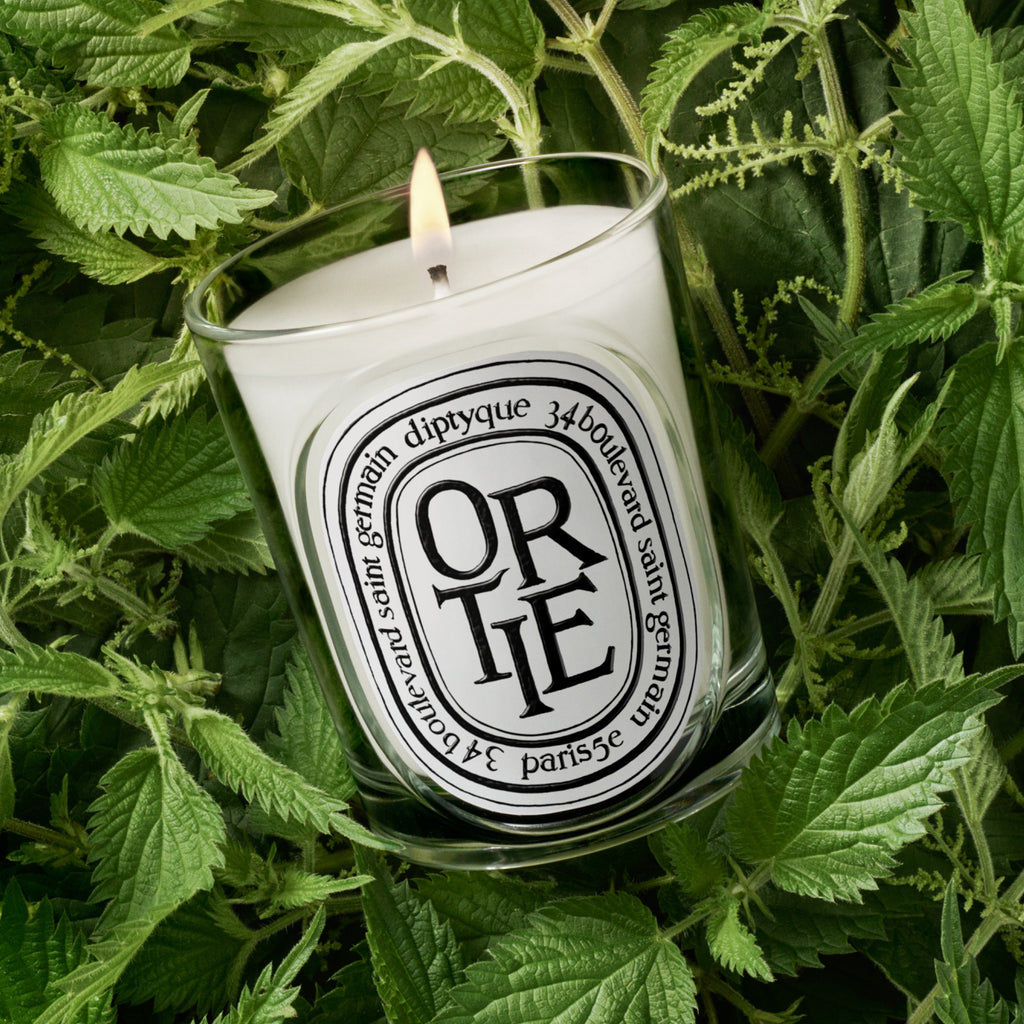 Ortie Bougie modèle classique