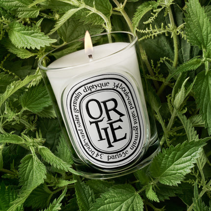 Ortie (Nettle) Classic Candle