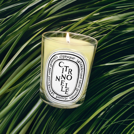 Citronnelle Bougie modèle classique