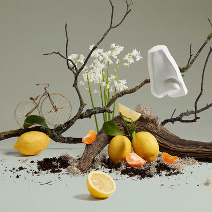 Quercus Eau De Cologne