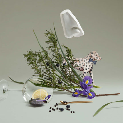 Juniper Sling Eau De Toilette
