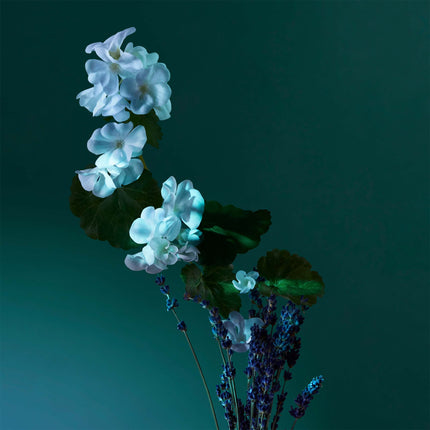 A Balm Of Calm Eau De Parfum