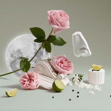 Luna Body & Hand Lotion