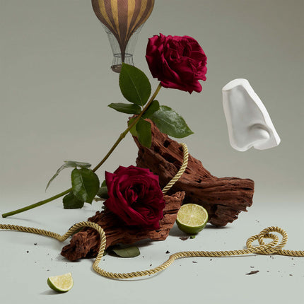 Halfeti Body & Hand Wash