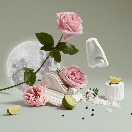 Luna Body & Hand Wash
