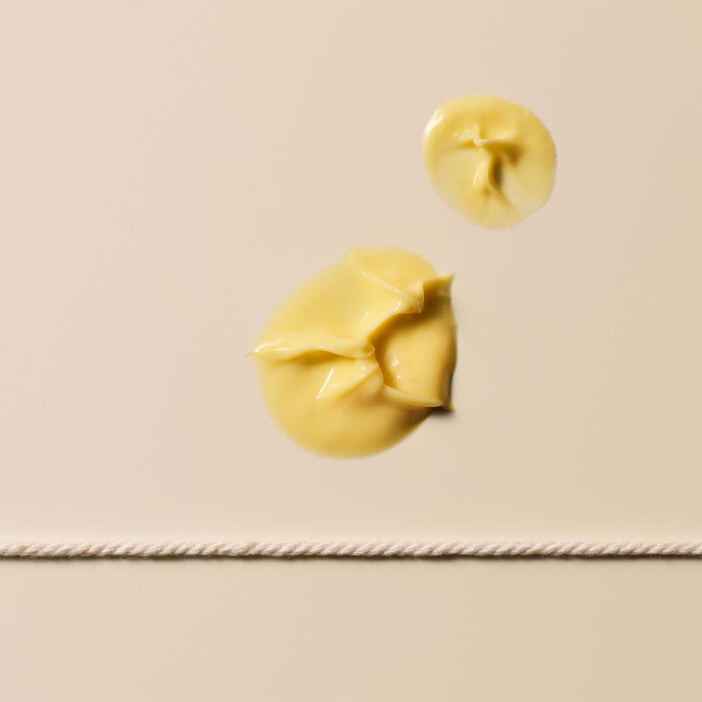 Crème Hydratante à la Noix de Camélia pour le Visage