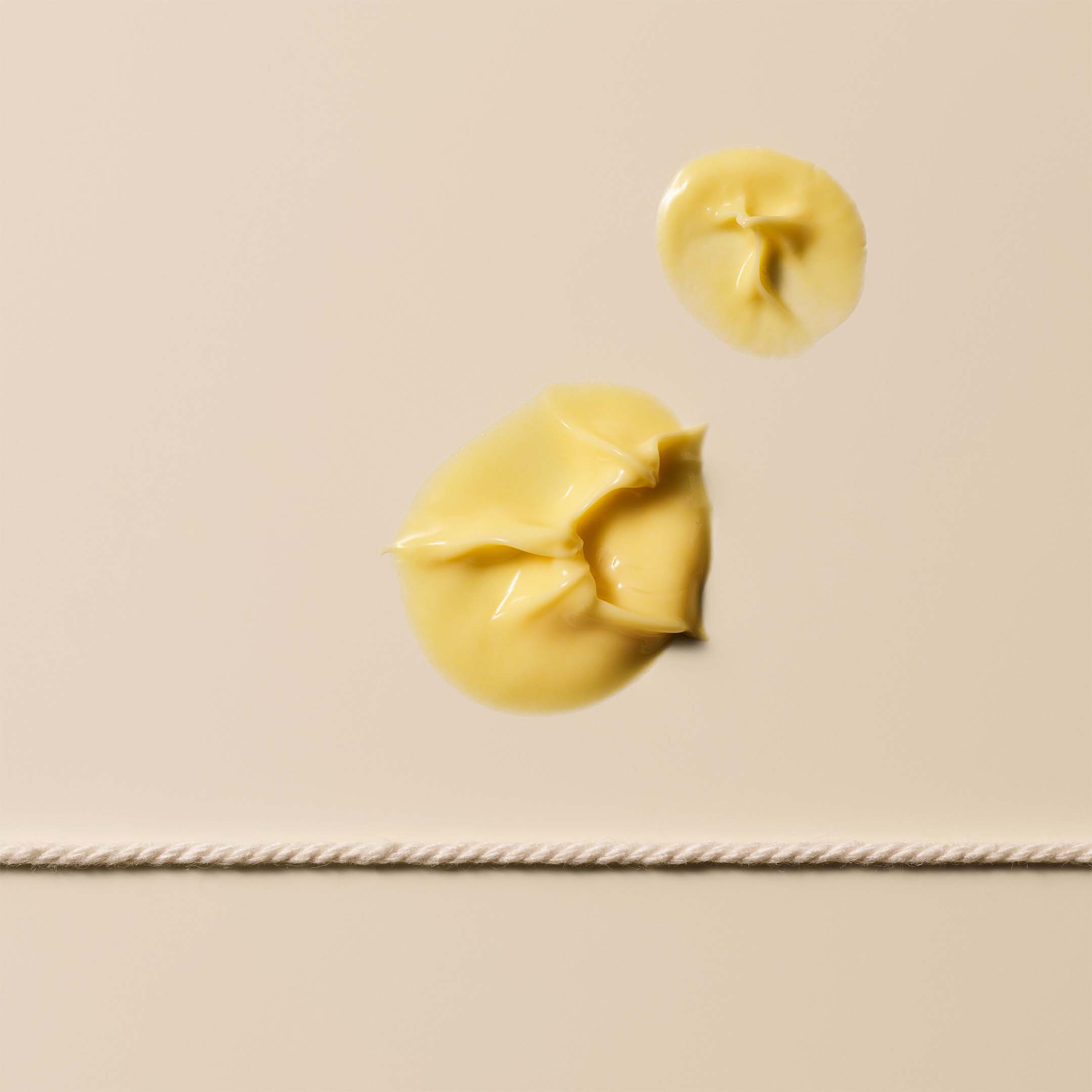 Crème Hydratante à la Noix de Camélia pour le Visage