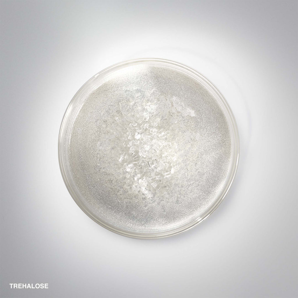 Hydrating Face Cream