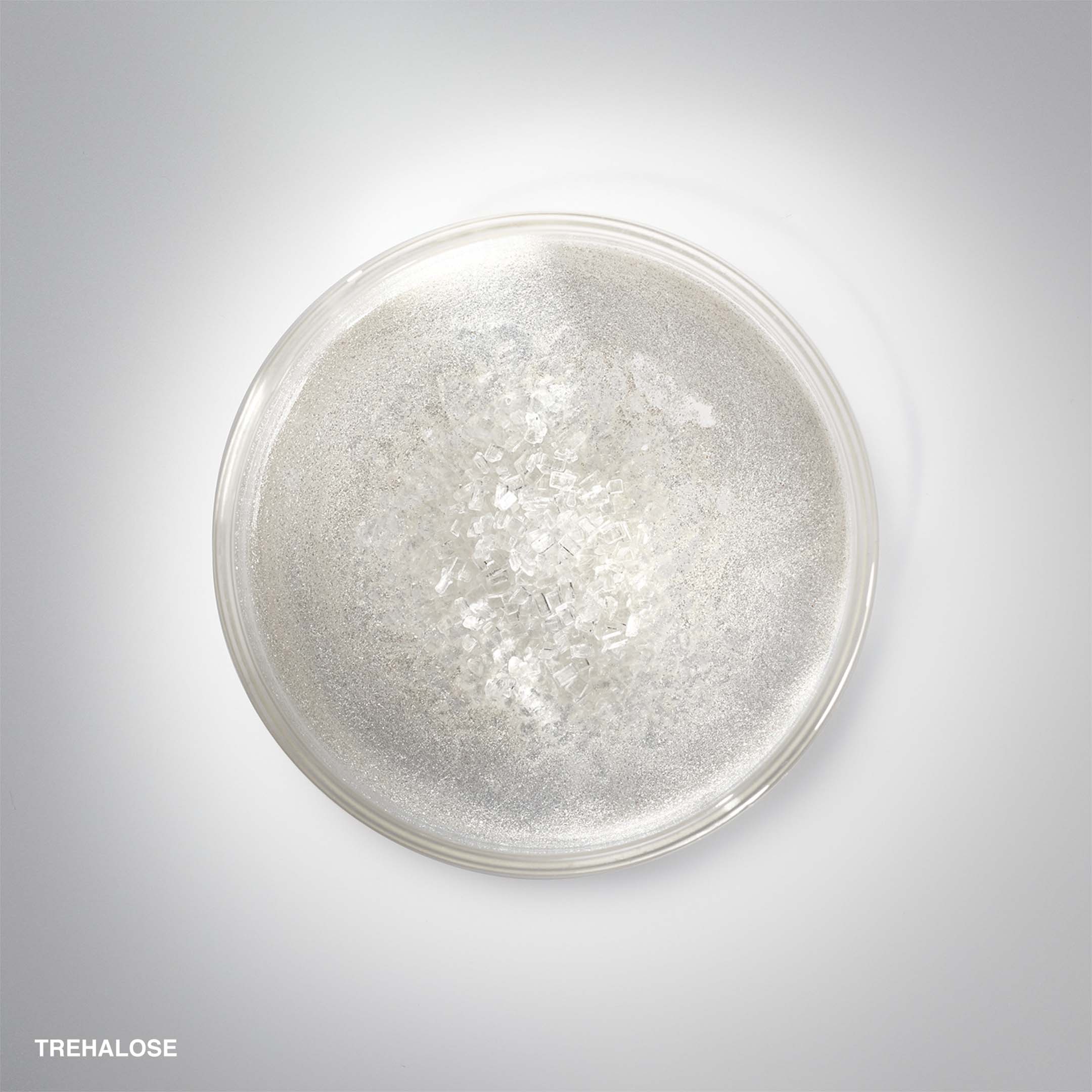 Hydrating Face Cream